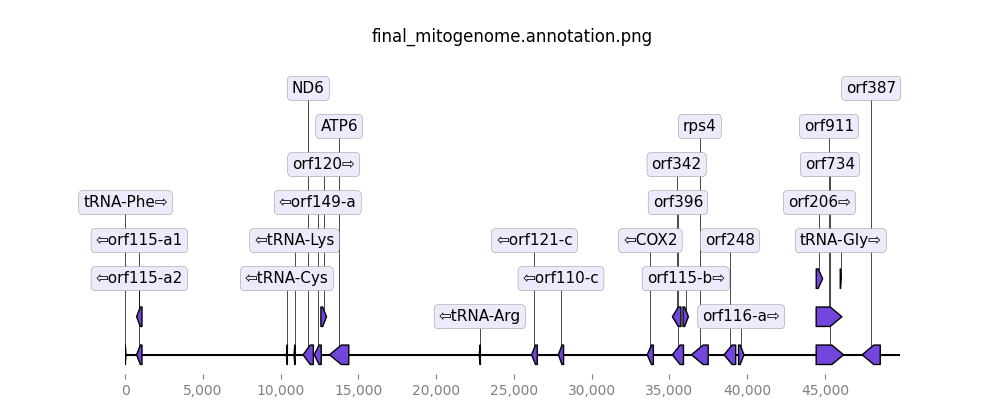 Fig1
