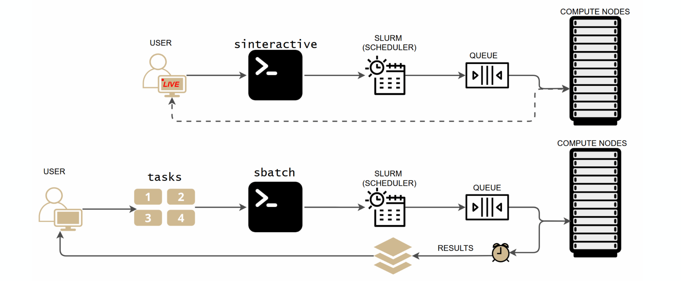 Interactive jobs give you a live shell on a compute node via sinteractive, while batch jobs submit tasks via sbatch and return results when complete.