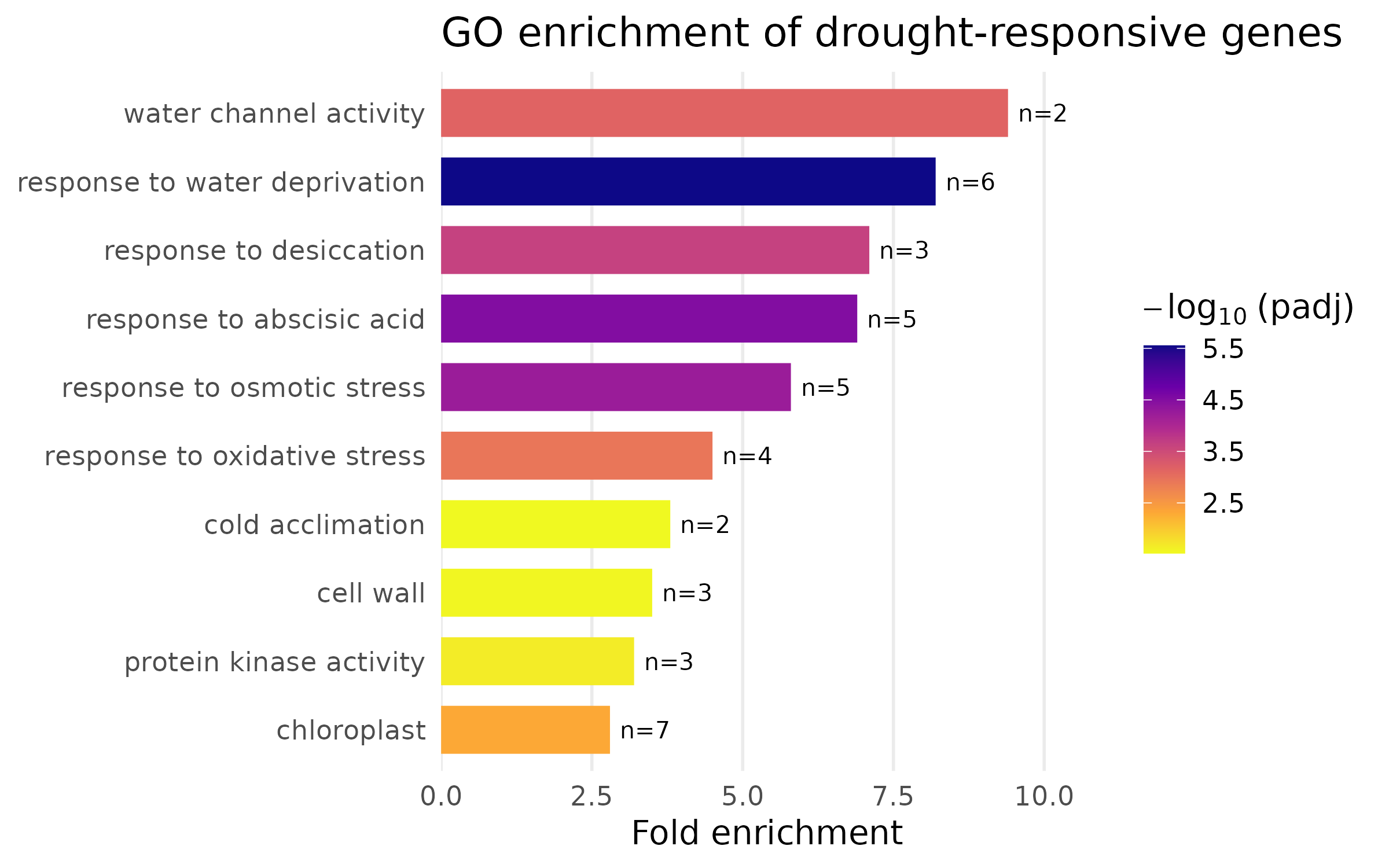 Enrichment bar plot — publication version