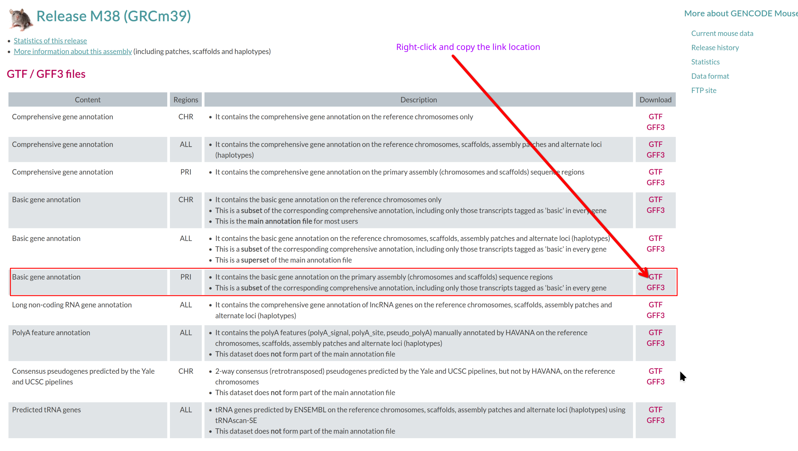 Basic gene annotation in GTF format