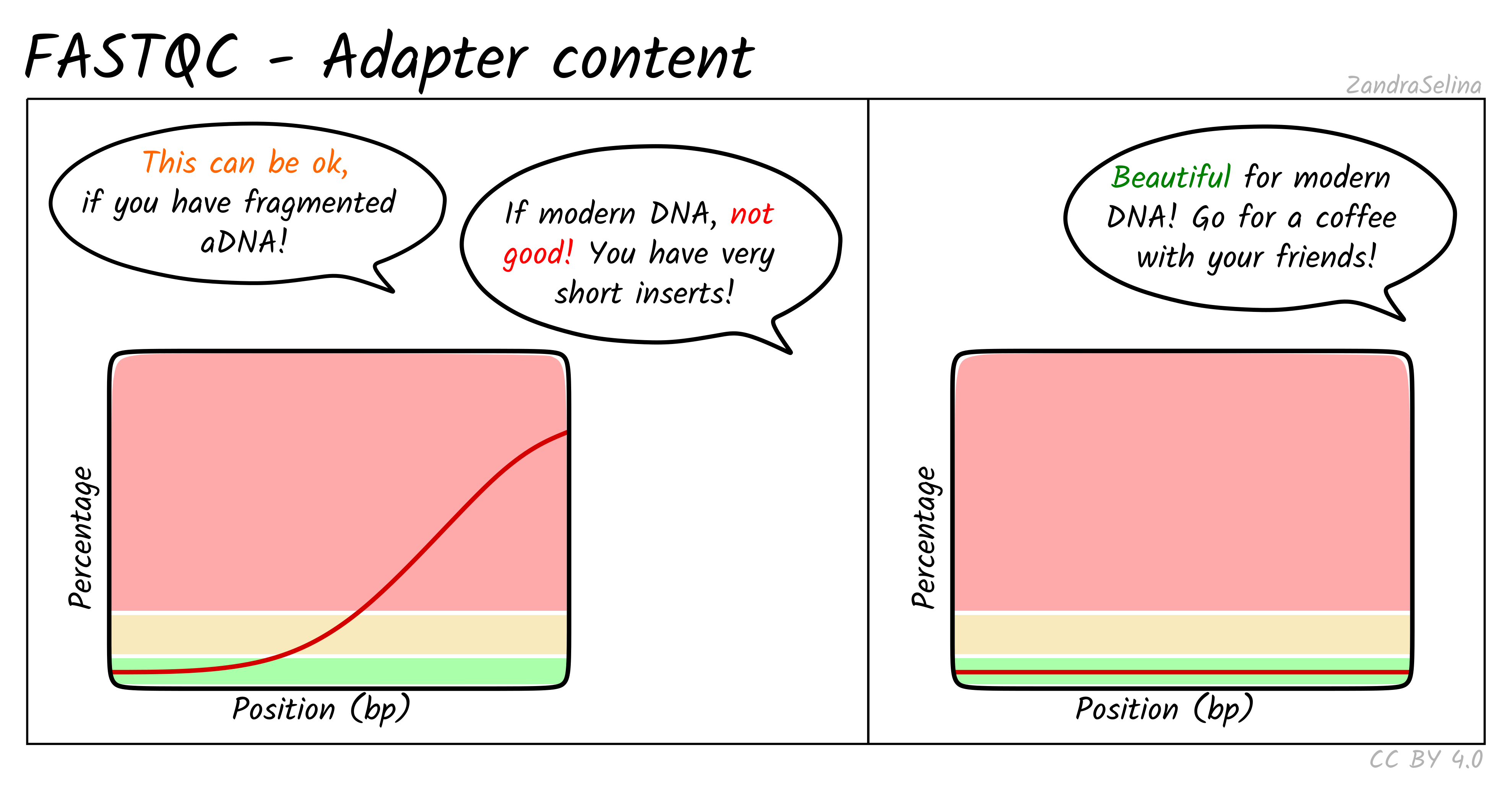 Adapter content across the read
