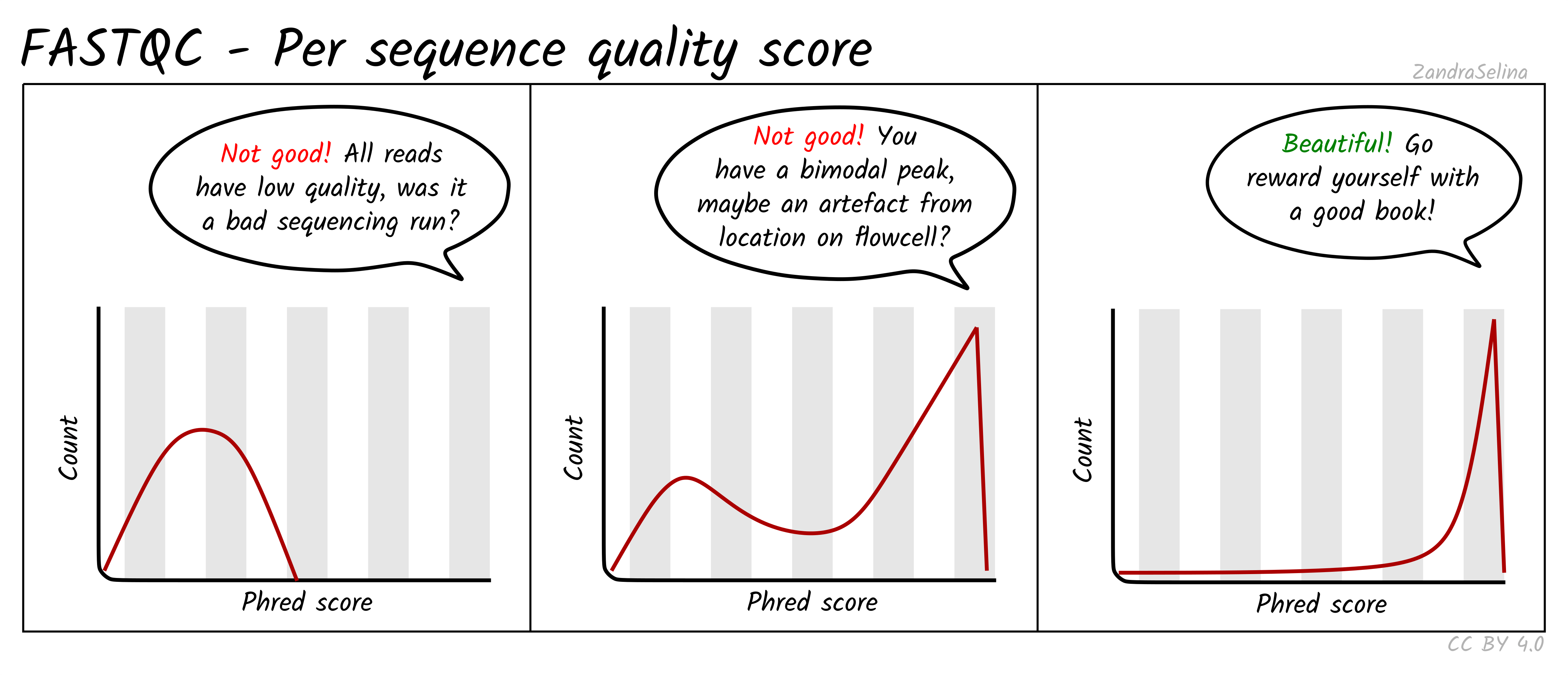 Distribution of per sequence quality scores