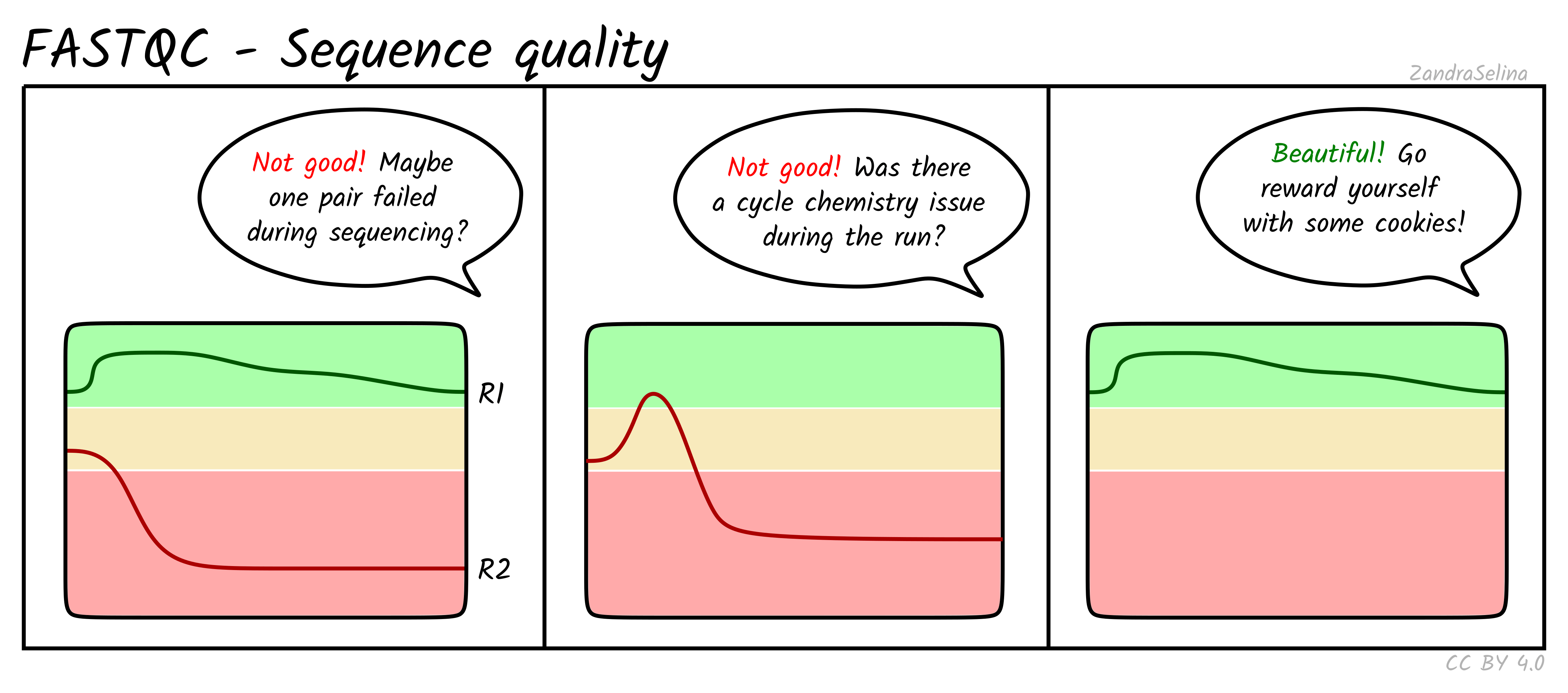 Per base sequence quality for a typical RNA-seq dataset