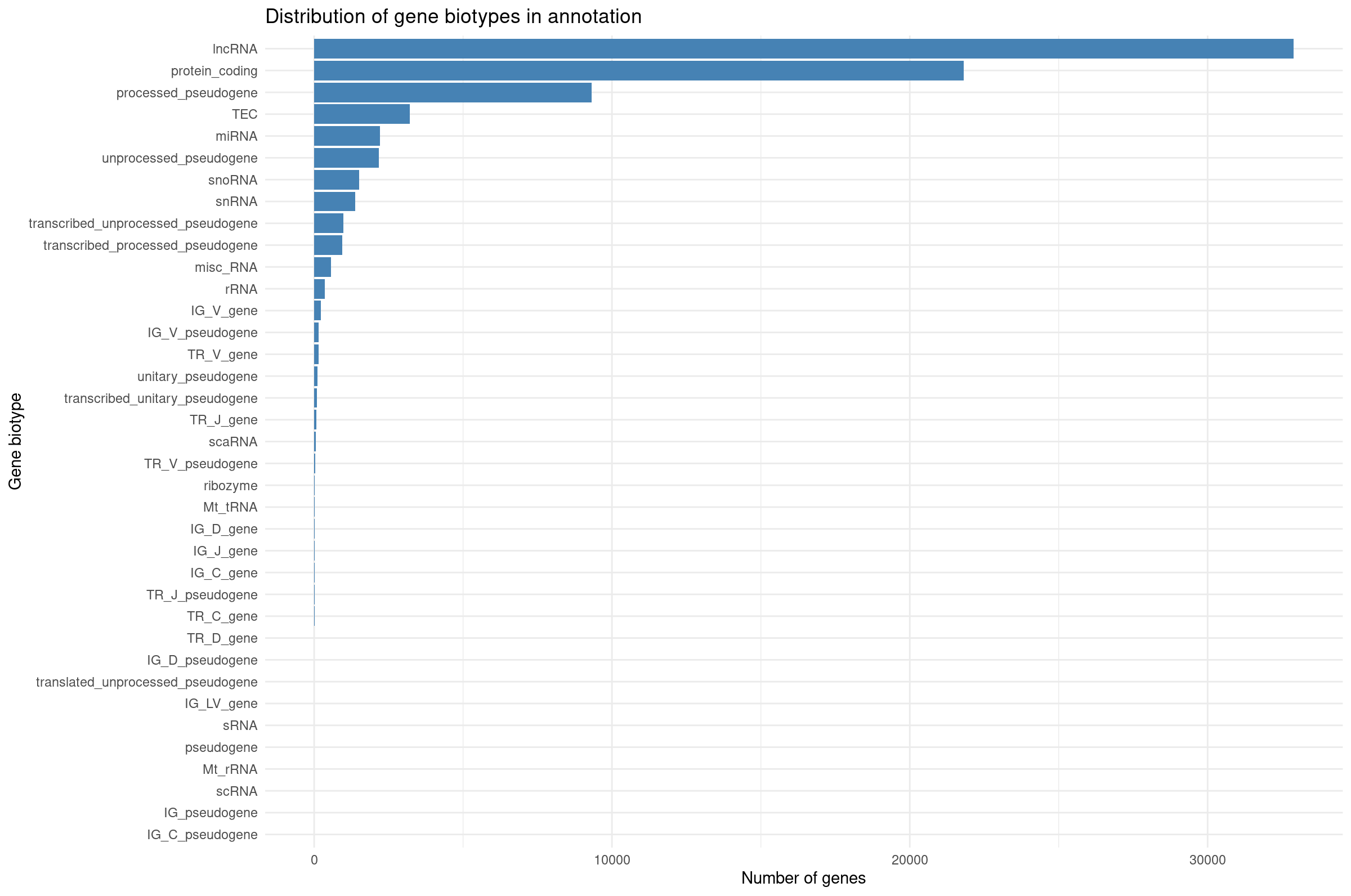 Distribution of gene biotypes in annotation