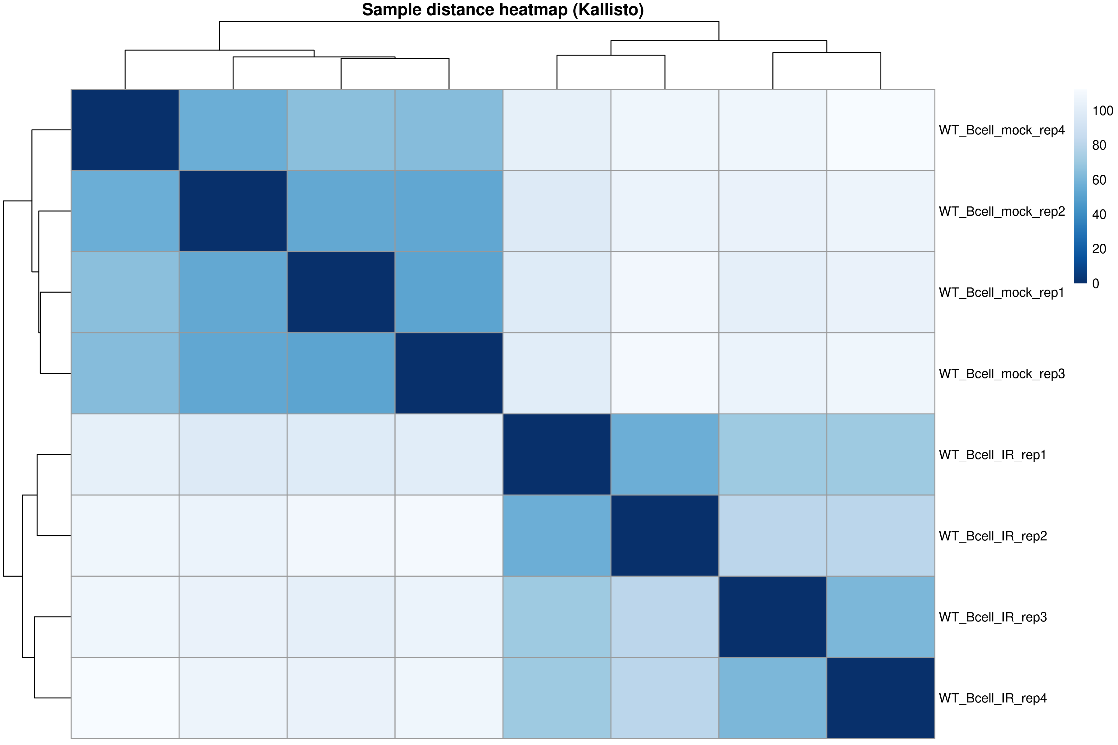 Sample distance heatmap